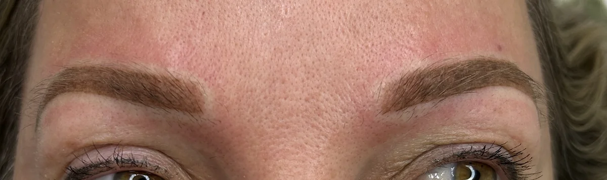 Powder Brows direkt nach der Behandlung, weich schattierte Augenbrauen
